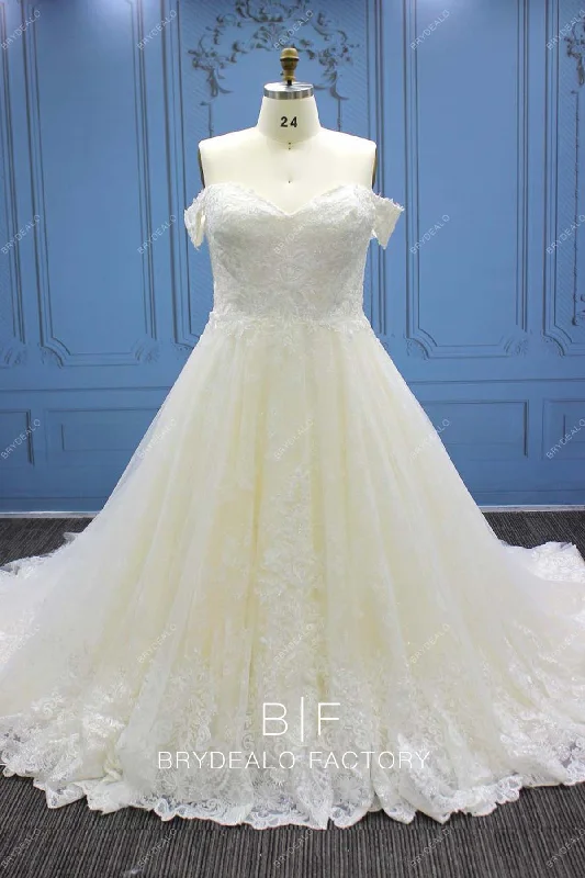 Plus Size Ivory Off Shoulder Crafted Lace Long Train Wedding Ball Gown